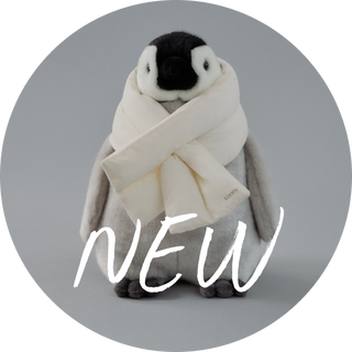 25 Winter Collection