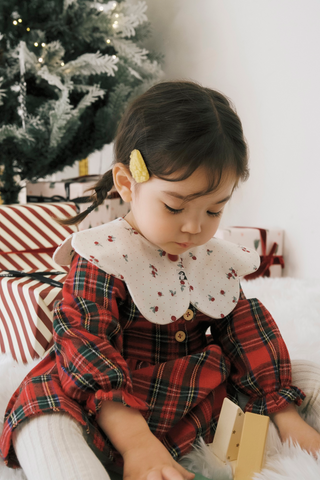 [Holiday] Rolling Bib 5 Pack Gift Set