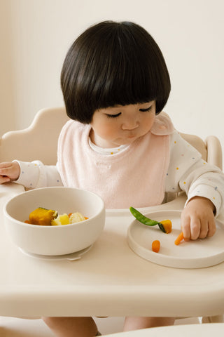 EasyFeed KOKO Silicone Suction Bowl with Lid