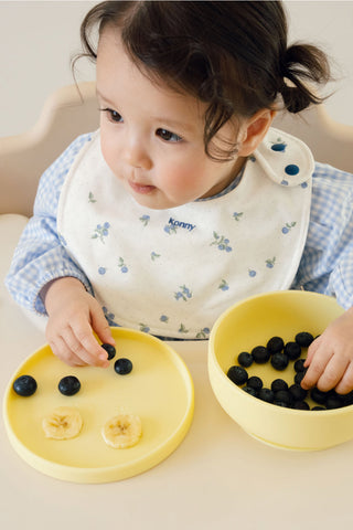 EasyFeed KOKO Silicone Suction Bowl with Lid