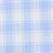 Blue Gingham Pants