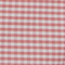 Coral Gingham