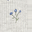 Grey Blue Flowers