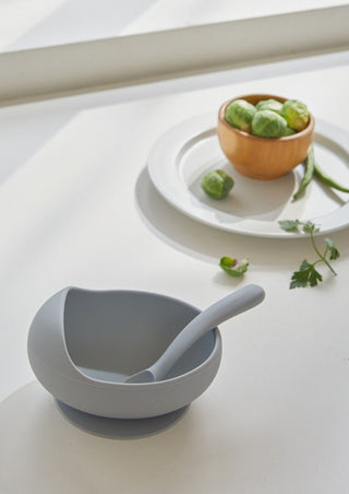 EASYFEED Silicone Bowl & Spoon Set (12M-4Y)